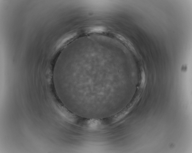 X0000091910762200709051418