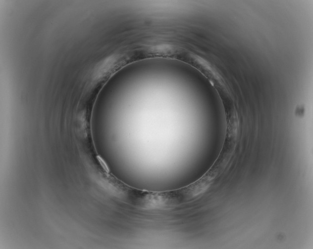 X0000091910764200709051418