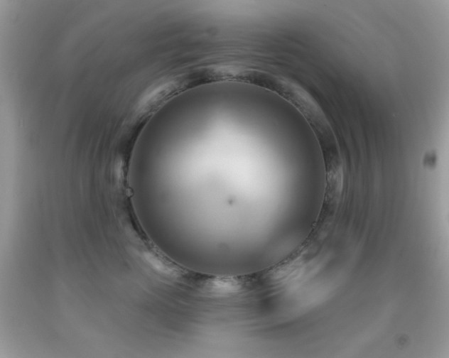 X0000091910765200709051418