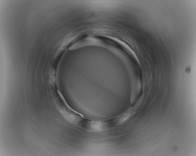 X0000091910766200709051418