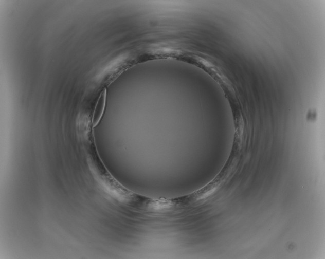 X0000091910767200709051418