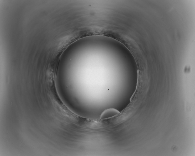 X0000091910768200709051418