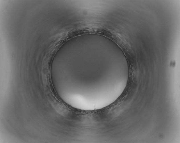 X0000091910769200709051417