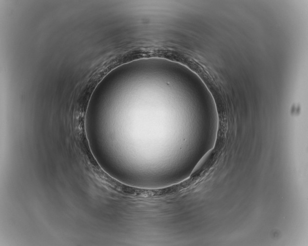 X0000091910770200709051417