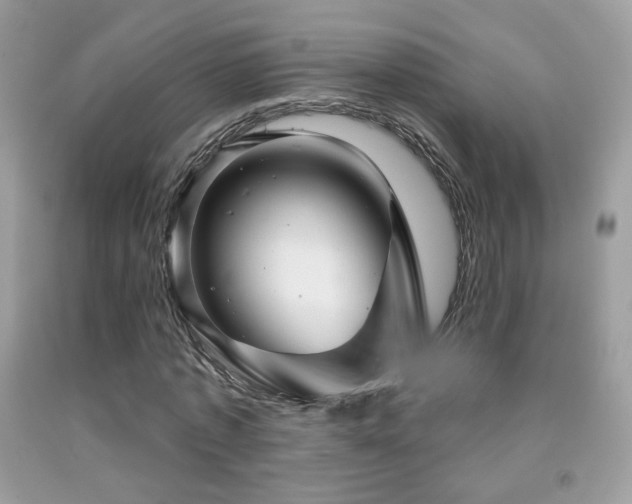 X0000091910773200709051417