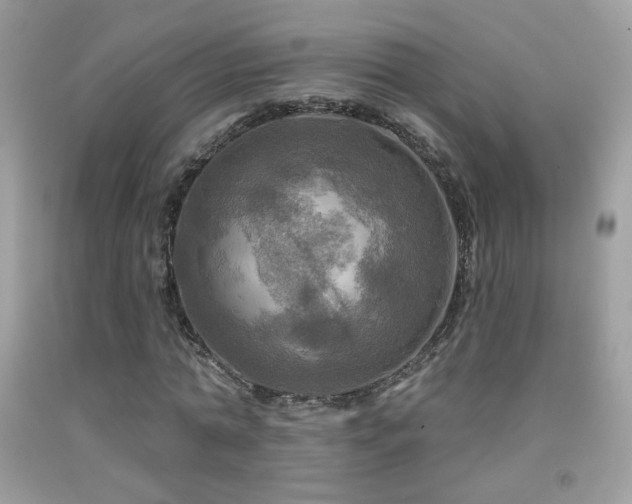 X0000091910774200709051417