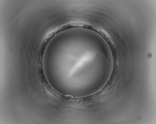 X0000091910775200709051417