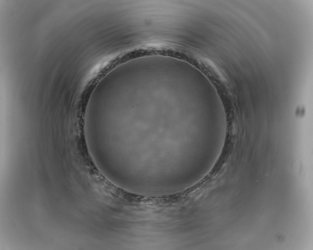 X0000091910776200709051417