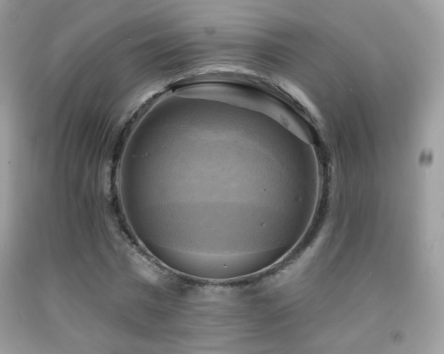 X0000091910777200709051417