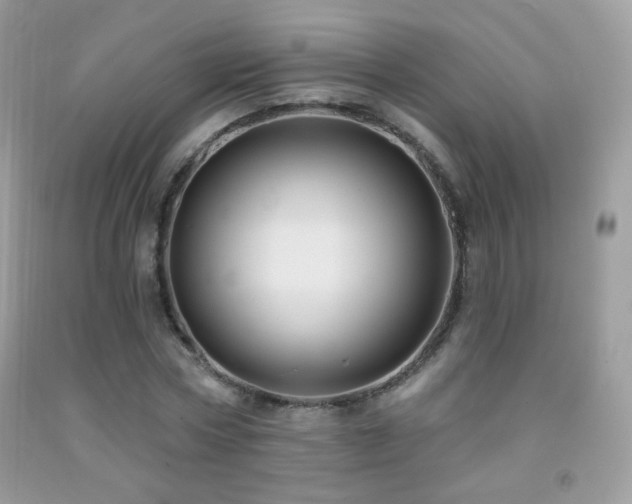 X0000091910778200709051417