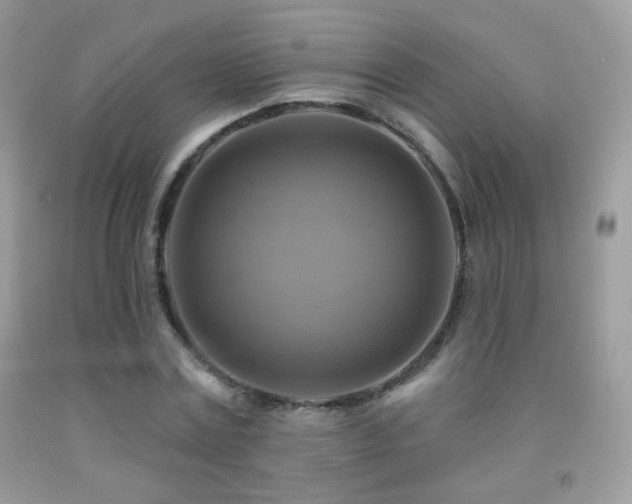 X0000091910779200709051417