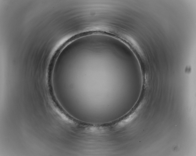 X0000091910780200709051417