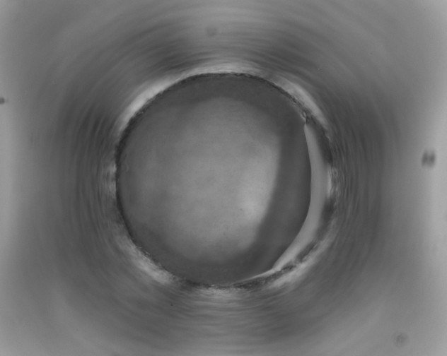 X0000091910781200709051417