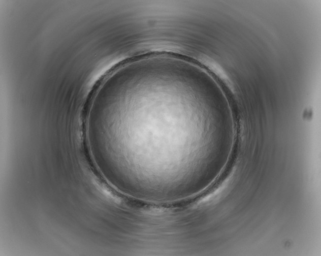 X0000091910782200709051417