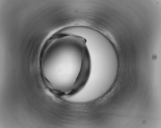 X0000091910784200709051417