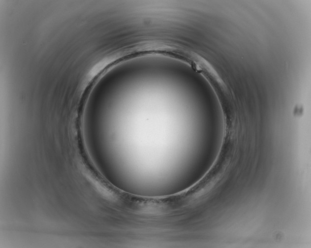 X0000091910786200709051417