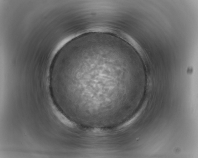 X0000091910787200709051417
