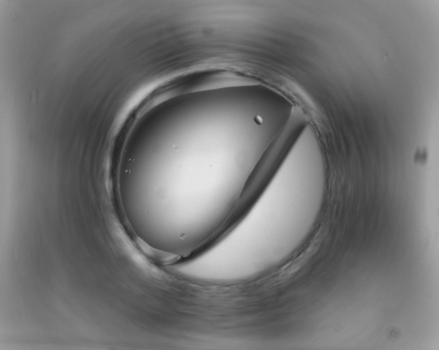 X0000091910788200709051417