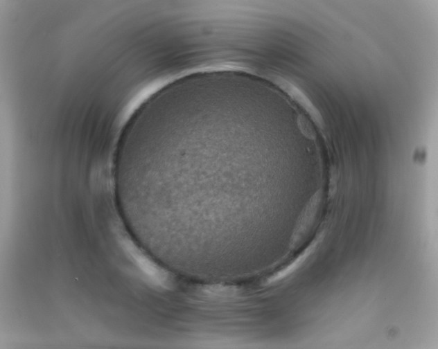 X0000091910789200709051417