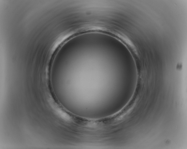 X0000091910790200709051417