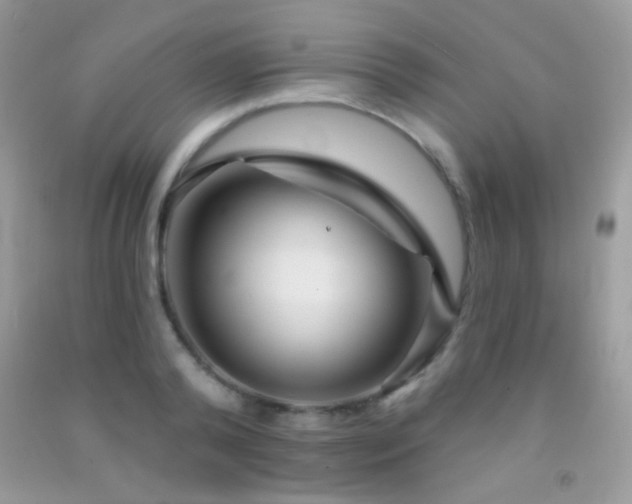 X0000091910792200709051417