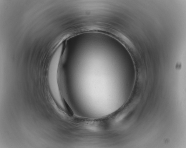 X0000091910793200709051417