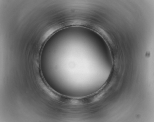 X0000091910794200709051417