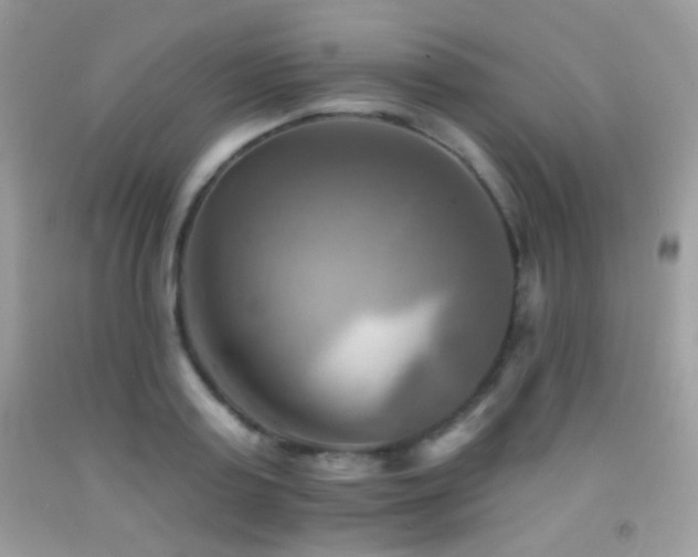 X0000091910795200709051417