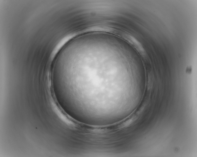 X0000091910796200709051417