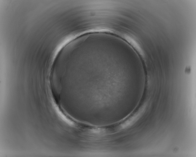 X0000091910797200709051417