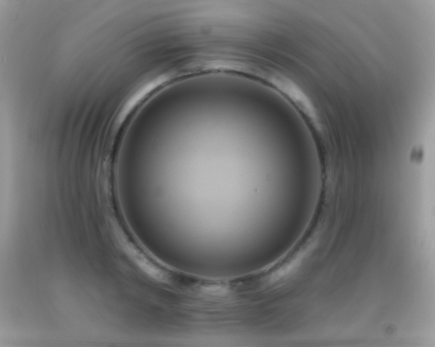 X0000091910798200709051417