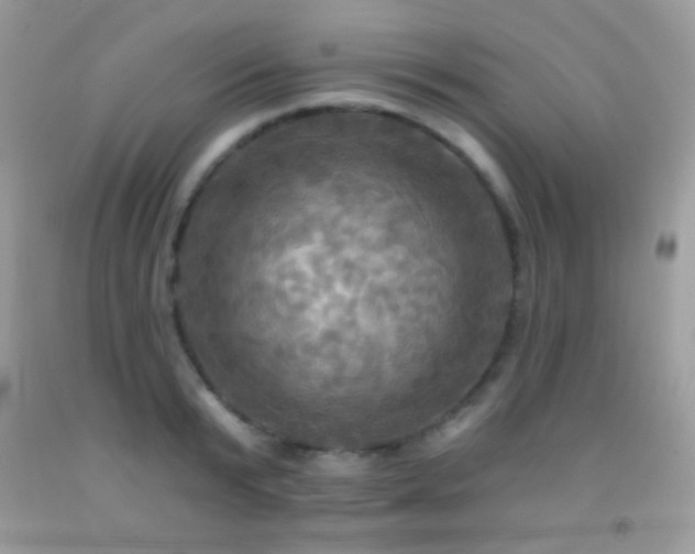 X0000091910799200709051417