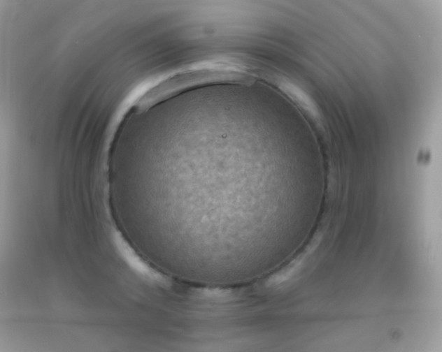 X0000091910800200709051417