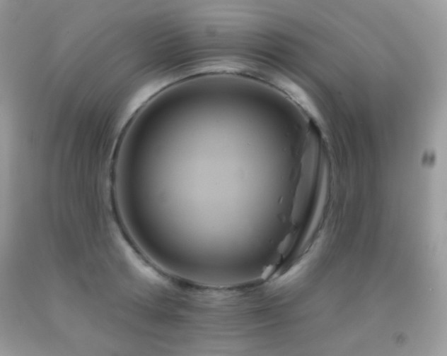 X0000091910802200709051417