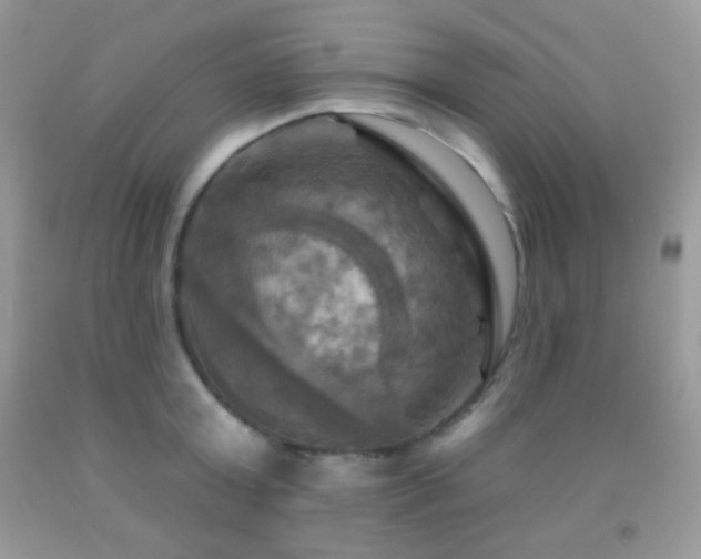 X0000091910803200709051417
