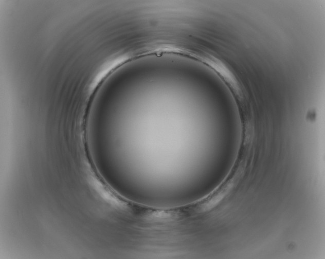 X0000091910806200709051417
