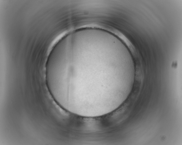 X0000091910807200709051417