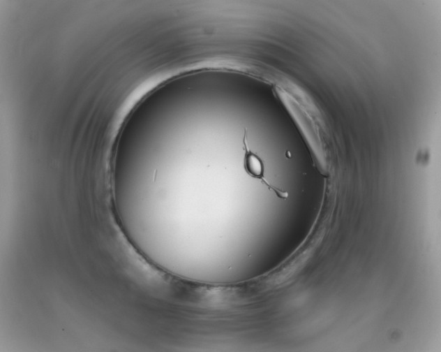 X0000091910808200709051417