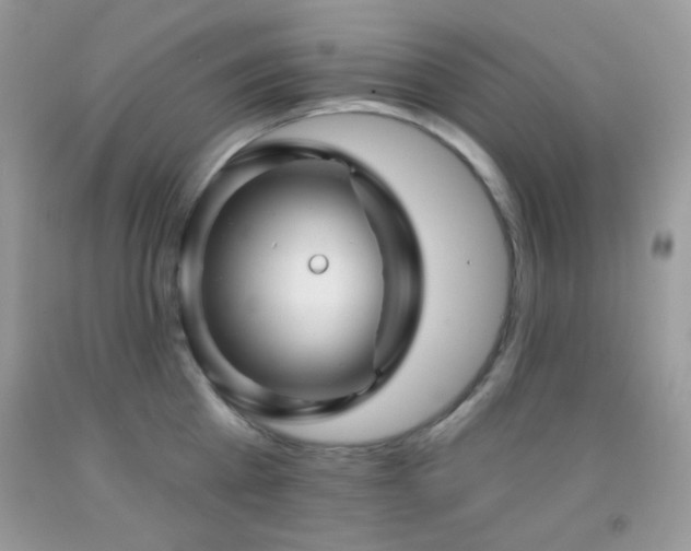 X0000091910809200709051417