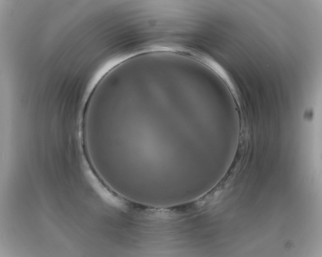 X0000091910811200709051417