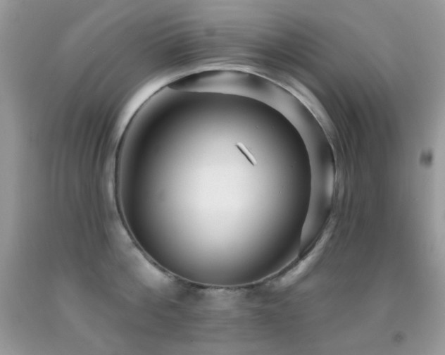 X0000091910812200709051417