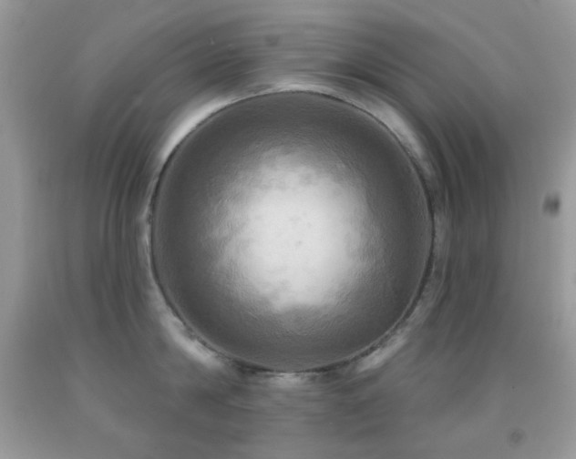 X0000091910814200709051417