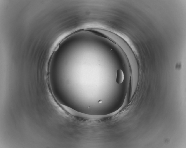 X0000091910815200709051417