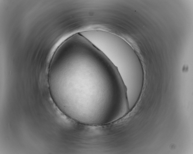 X0000091910816200709051417