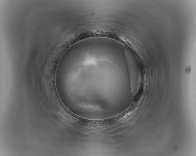 X0000091910817200709051416