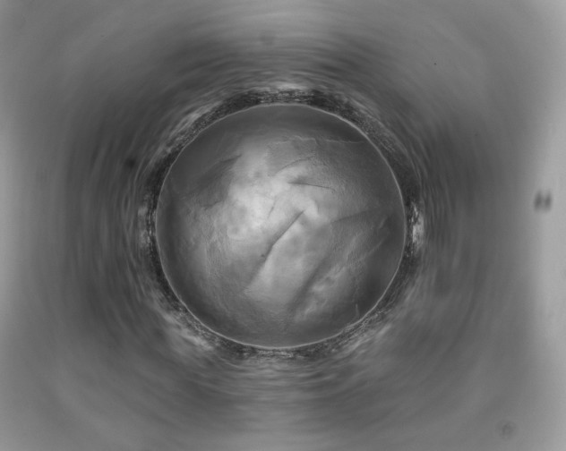 X0000091910819200709051416
