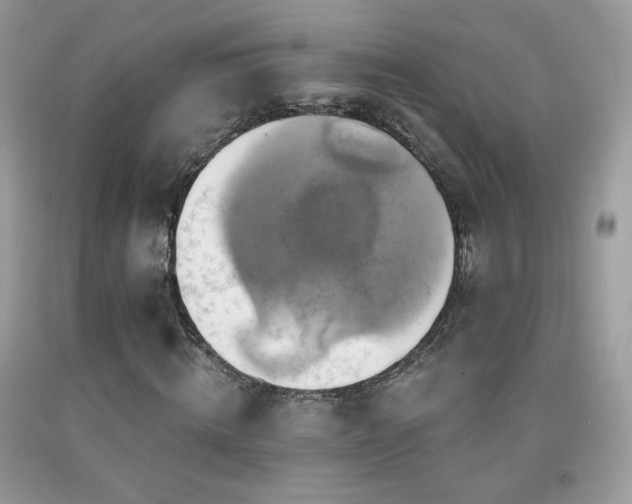 X0000091910820200709051416