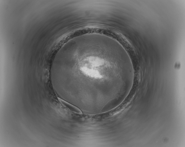 X0000091910821200709051416