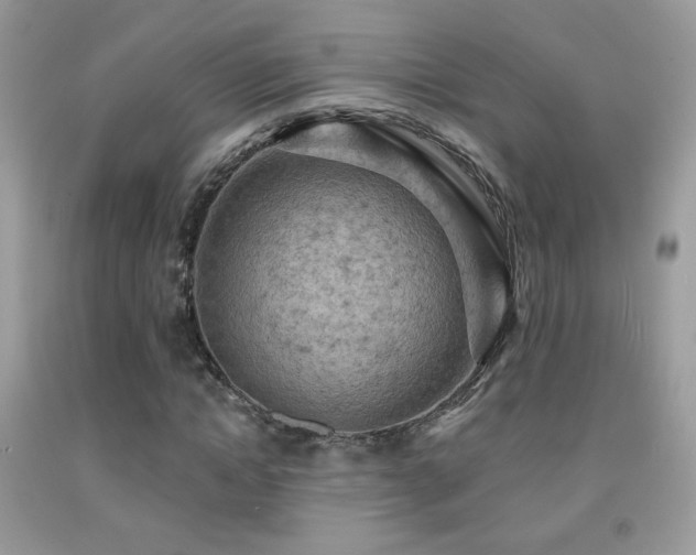 X0000091910822200709051416