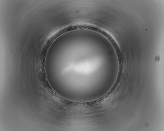 X0000091910823200709051416
